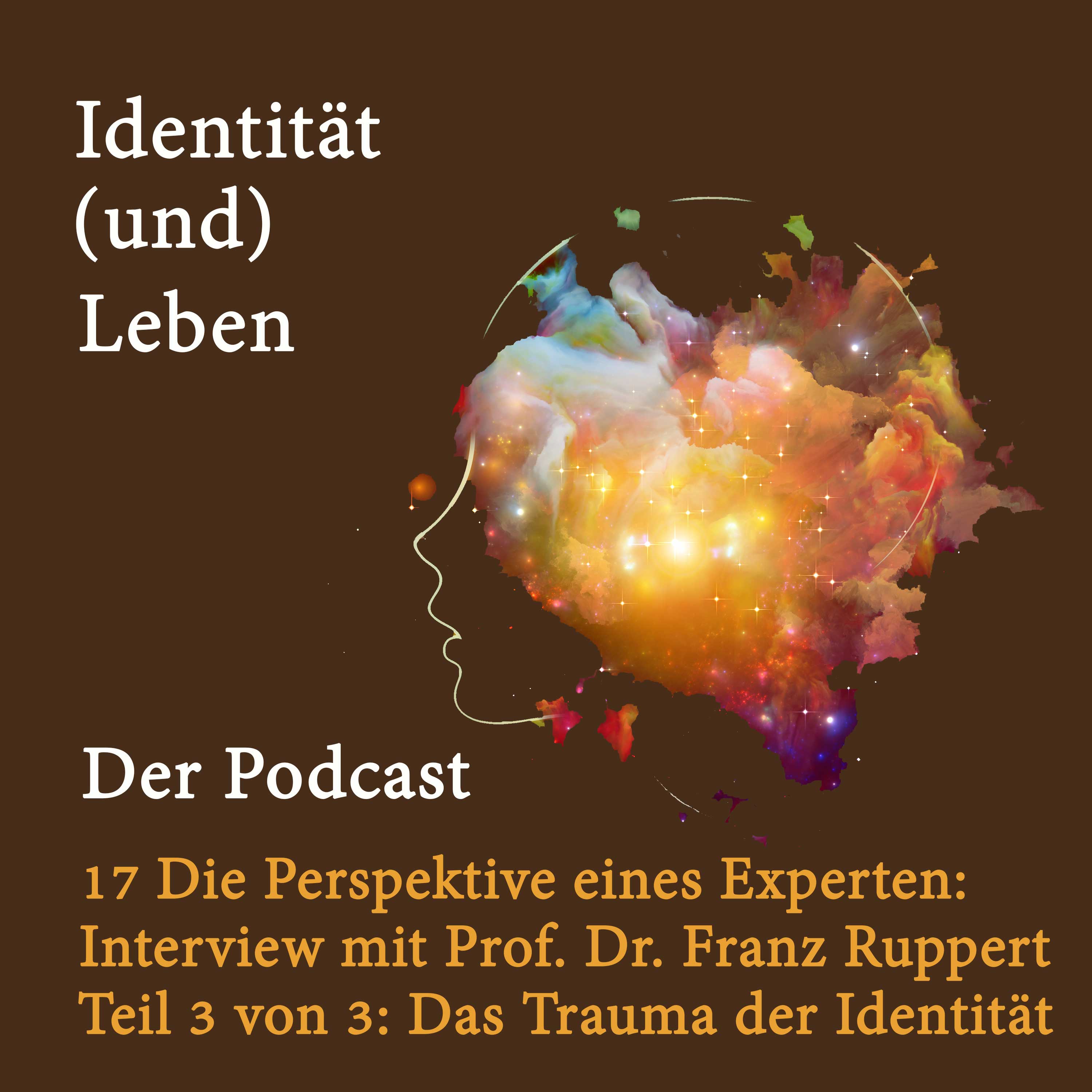 17 Die Perspektive eines Experten: Interview mit Prof. Dr. Franz Ruppert - Teil 3 von 3 - Das Trauma der Identität